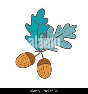 Due ghiande isolate su sfondo bianco. Semi di quercia autunnale. Semplice icona di illustrazione vettoriale disegnata a mano Illustrazione Vettoriale