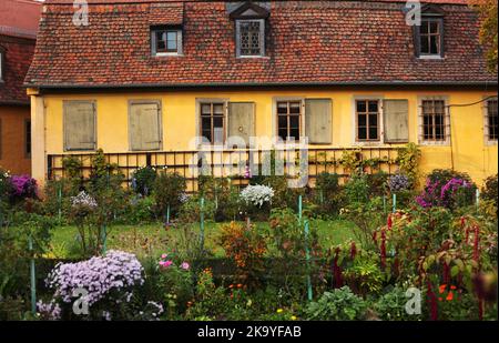 Weimar, Germania. 16th Ott 2022. 16.10.2022, Weimar. Il retro della vecchia casa di Goethe a Weimar con il giardino in primo piano. Il consigliere privato, il poeta premio, il ricercatore e naturalista Johann Wolfgang von Goethe visse con la sua famiglia nella casa di Frauenplan a Weimar per molti anni e morì anche qui. La casa divenne un museo nel 19th ° secolo. Credit: Wolfram Steinberg/dpa Credit: Wolfram Steinberg/dpa/Alamy Live News Foto Stock