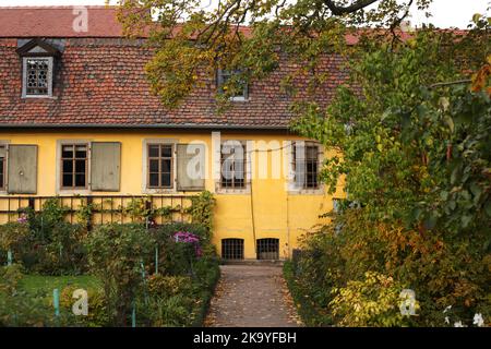Weimar, Germania. 16th Ott 2022. 16.10.2022, Weimar. Il retro della vecchia casa di Goethe a Weimar con il giardino in primo piano. Il consigliere privato, il poeta premio, il ricercatore e naturalista Johann Wolfgang von Goethe visse con la sua famiglia nella casa di Frauenplan a Weimar per molti anni e morì anche qui. La casa divenne un museo nel 19th ° secolo. Credit: Wolfram Steinberg/dpa Credit: Wolfram Steinberg/dpa/Alamy Live News Foto Stock