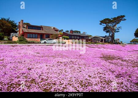 Lovers Point Beach, Monterey, California, Stati Uniti Foto Stock