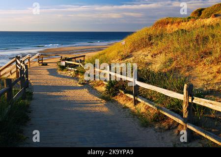 Mattina presto, Cape Cod Foto Stock