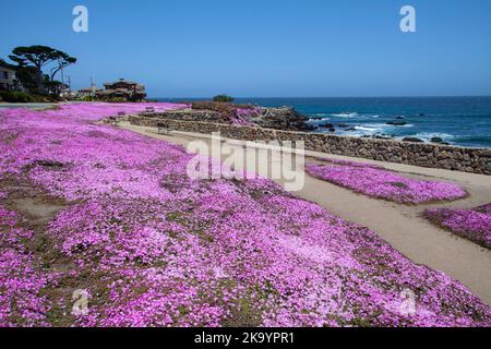 Lovers Point Beach, Monterey, California, Stati Uniti Foto Stock