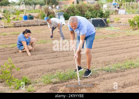 Uomo anziano che rastrema terreno su patch in orto Foto Stock