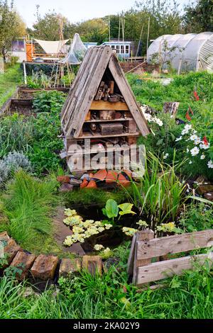 Habitat naturale per insetti sono un albergo ecologico di baita Foto Stock