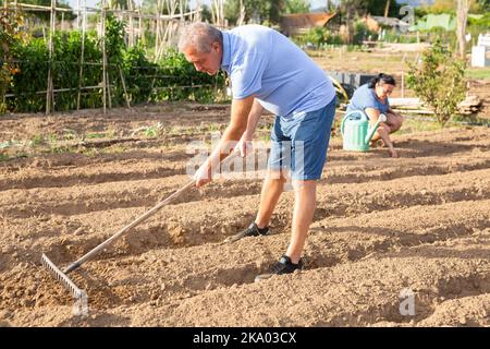 La famiglia sta lavorando in giardino - con l'aiuto di rastrello preparano il terreno per piantare i semi Foto Stock