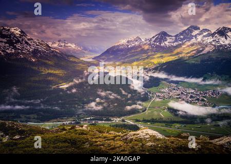 Laghi di Celerina e Engadina, St Moritz, Silvaplana e Maloja da Muottas Muragl Foto Stock