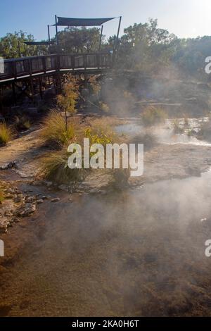 Passeggiata sul lungomare attraverso le sorgenti termali di Talaroo Foto Stock