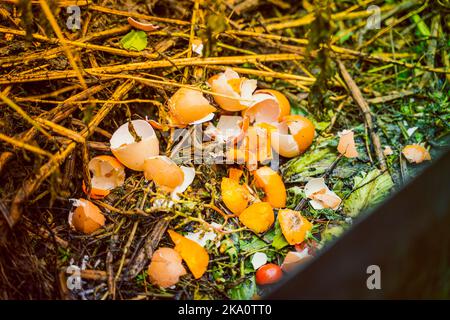 Gusci di uovo e spreco umano organico ed altro su un cumulo di composto. Uso razionale secondario dei rifiuti alimentari per la trasformazione in concime per letti da giardino. Foto Stock