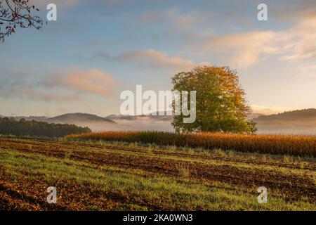 Paesaggio rurale autunnale nel Baden-Wuerttemberg, Germania Foto Stock