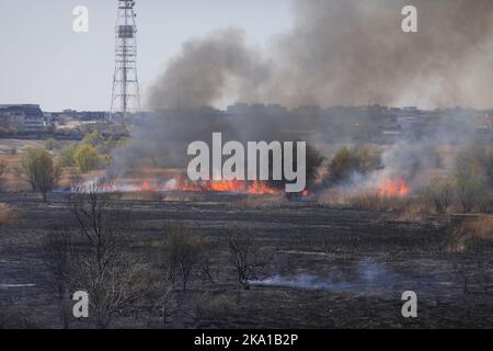Bucarest, Romania - 5 aprile 2022: Fuoco di vegetazione nel parco di Vacaresti natura di riserva Foto Stock