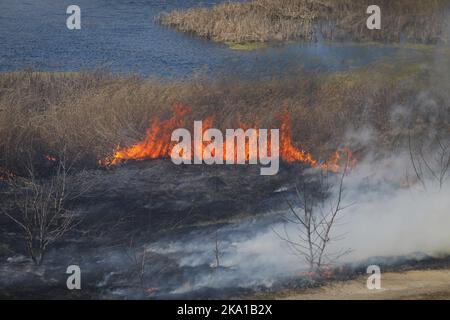 Bucarest, Romania - 5 aprile 2022: Fuoco di vegetazione nel parco di Vacaresti natura di riserva Foto Stock