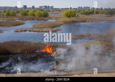 Bucarest, Romania - 5 aprile 2022: I vigili del fuoco cercano di estinguere un fuoco di vegetazione nella riserva naturale del parco di Vacaresti. Foto Stock