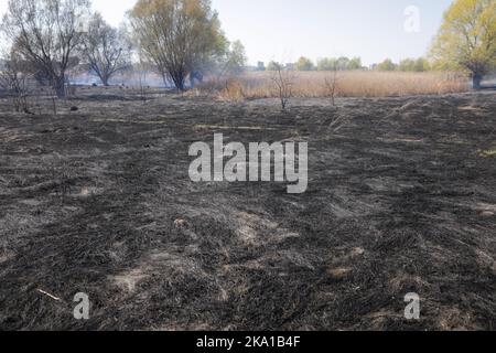 Bucarest, Romania - 5 aprile 2022: Fuoco di vegetazione nel parco di Vacaresti natura di riserva Foto Stock