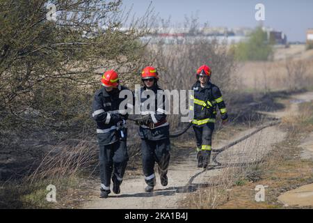 Bucarest, Romania - 5 aprile 2022: I vigili del fuoco cercano di estinguere un fuoco di vegetazione nella riserva naturale del parco di Vacaresti. Foto Stock