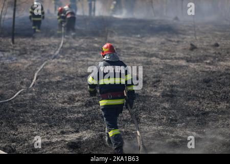 Bucarest, Romania - 5 aprile 2022: I vigili del fuoco cercano di estinguere un fuoco di vegetazione nella riserva naturale del parco di Vacaresti. Foto Stock