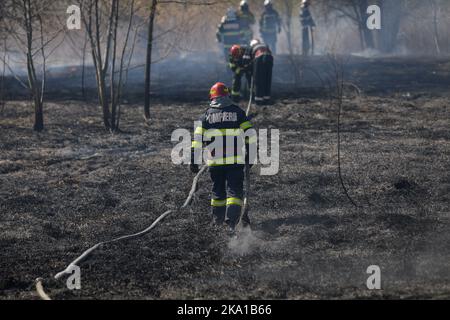 Bucarest, Romania - 5 aprile 2022: I vigili del fuoco cercano di estinguere un fuoco di vegetazione nella riserva naturale del parco di Vacaresti. Foto Stock