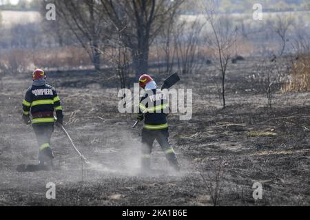 Bucarest, Romania - 5 aprile 2022: I vigili del fuoco cercano di estinguere un fuoco di vegetazione nella riserva naturale del parco di Vacaresti. Foto Stock