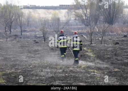 Bucarest, Romania - 5 aprile 2022: I vigili del fuoco cercano di estinguere un fuoco di vegetazione nella riserva naturale del parco di Vacaresti. Foto Stock