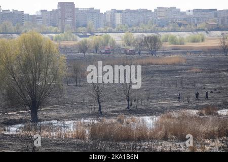 Bucarest, Romania - 5 aprile 2022: I vigili del fuoco cercano di estinguere un fuoco di vegetazione nella riserva naturale del parco di Vacaresti. Foto Stock