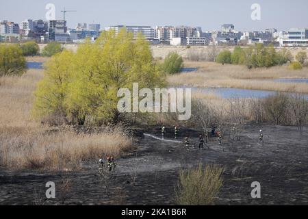 Bucarest, Romania - 5 aprile 2022: I vigili del fuoco cercano di estinguere un fuoco di vegetazione nella riserva naturale del parco di Vacaresti. Foto Stock