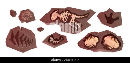 Cartoon fossile archeologico di scheletri dinosauri, rettili, animali marini e piante. Antiche sezioni di pietra con ossa di ammoniti preistorici, trilobiti marini. Elementi di scavo del piede dino. Illustrazione Vettoriale