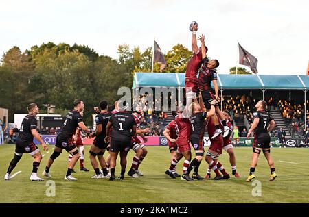 Barnet, Regno Unito. 30th Ott 2022. Premiership Rugby. Saracens V Vendita squali. Stadio Stone X. Barnet. Daniel du Preez (sale) catture al lineout durante la Saracens V sale Sharks Gallagher Premiership rugby match. Credit: Sport in Pictures/Alamy Live News Foto Stock