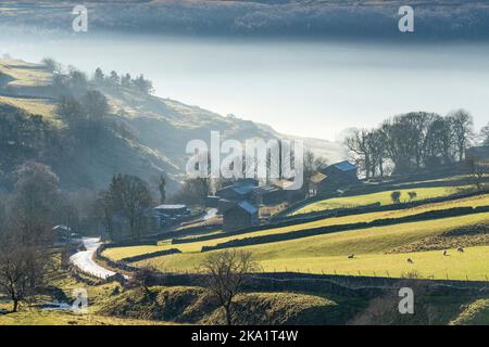 Un'inversione di nube a metà inverno in Wharfedale superiore, Cray, Hubberholme, Yorkshire Dales, Inghilterra Foto Stock