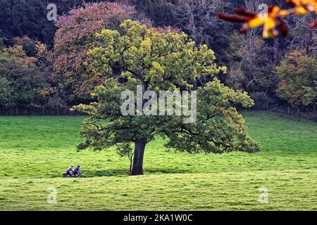 Due ciclisti che cavalcano nella remota campagna a Ranmore Common nelle colline del Surrey in una giornata autunnale vicino Dorking Inghilterra UK Foto Stock