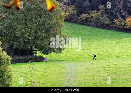 Un maschio solista rambler camminando nella remota campagna a Ranmore Common nelle colline del Surrey in una giornata autunnale vicino Dorking Inghilterra UK Foto Stock