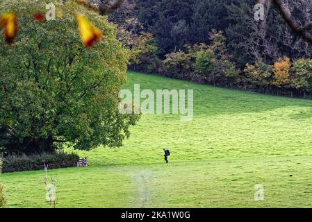 Un maschio solista rambler camminando nella remota campagna a Ranmore Common nelle colline del Surrey in una giornata autunnale vicino Dorking Inghilterra UK Foto Stock