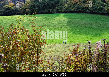 La remota campagna a Ranmore Common nelle colline del Surrey in una giornata autunnale vicino Dorking Inghilterra UK Foto Stock