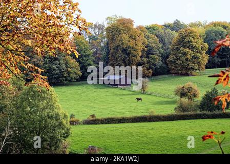 La remota campagna a Ranmore Common nelle colline del Surrey in una giornata autunnale vicino Dorking Inghilterra UK Foto Stock