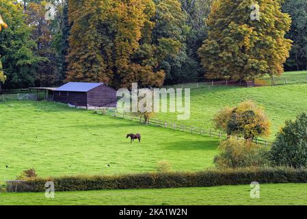 La remota campagna a Ranmore Common nelle colline del Surrey in una giornata autunnale vicino Dorking Inghilterra UK Foto Stock