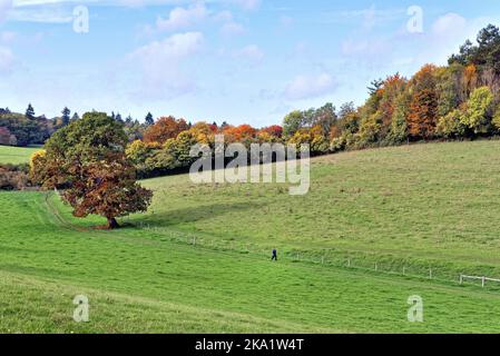 La remota campagna a Ranmore Common nelle colline del Surrey in una giornata autunnale vicino Dorking Inghilterra UK Foto Stock