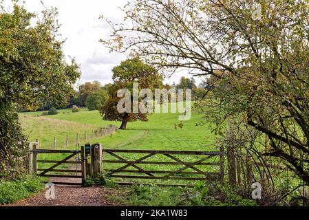 La remota campagna a Ranmore Common nelle colline del Surrey in una giornata autunnale vicino Dorking Inghilterra UK Foto Stock