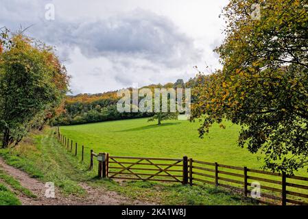 La remota campagna a Ranmore Common nelle colline del Surrey in una giornata autunnale vicino Dorking Inghilterra UK Foto Stock
