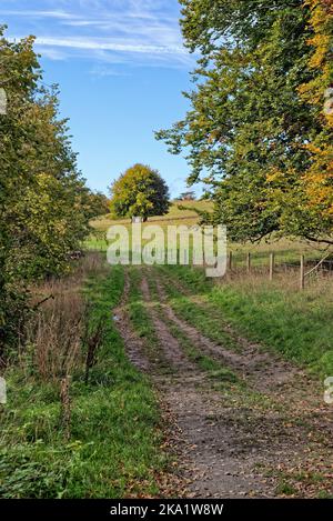 La remota campagna a Ranmore Common nelle colline del Surrey in una giornata autunnale vicino Dorking Inghilterra UK Foto Stock