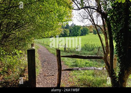 La remota campagna a Ranmore Common nelle colline del Surrey in una giornata autunnale vicino Dorking Inghilterra UK Foto Stock