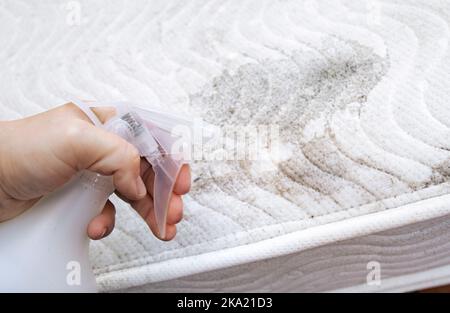 Persona spruzzare la soluzione di aceto mano sul materasso di stampaggio in stanza domestica per rimuovere le macchie. Lavare il materasso ammuffito, rimuovere il concetto di stampo. Foto Stock