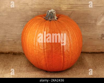 zucca intera rotonda su sacco di iuta con sfondo rustico in legno, la zucca perfetta per tagliare le sfacciate di halloween Foto Stock