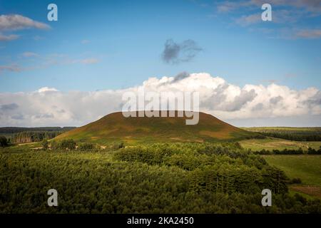 Blakey Topping collina naturale vicino Pickering, East Yorkshire, Regno Unito Foto Stock