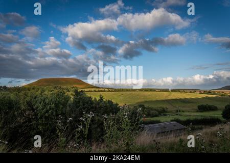 Blakey Topping collina naturale vicino Pickering, East Yorkshire, Regno Unito Foto Stock