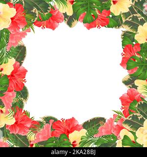 Bordo floreale con fioritura vari hibiscus e foglie tropicali vettore Illustrazione sfondo floreale con posto per il vostro testo biglietti d'auguri edit Illustrazione Vettoriale