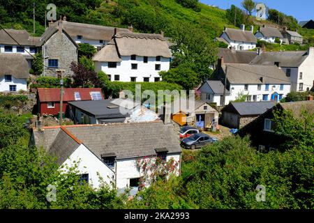 Case in paglia nel villaggio di Cadgwith, sulla penisola di Lizard, Cornovaglia, Regno Unito - John Gollop Foto Stock