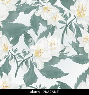 Texture senza cuciture twig gelsomino fiore e boccioli primavera fiore vintage vettore illustrazione modificabile disegno a mano Illustrazione Vettoriale