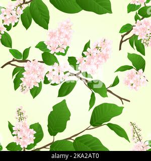 Texture senza cuciture rosa Lilac ramo naturale sfondo vintage vettore illustrazione modificabile disegno a mano Illustrazione Vettoriale