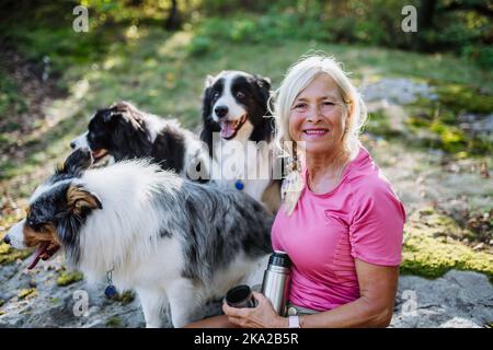 Donna anziana che si rompe durante la camminata dei suoi tre cani nella foresta. Foto Stock