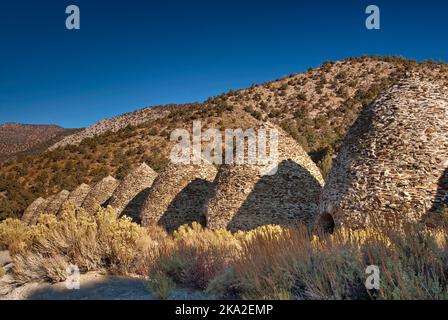 Carbonaie nel deserto di Mojave, Parco Nazionale della Valle della Morte, CALIFORNIA, STATI UNITI D'AMERICA Foto Stock