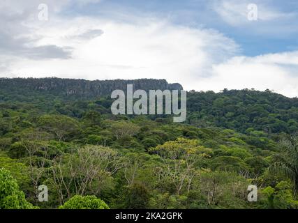 Le montagne piane di Tepui si distinguono sopra la fitta foresta tropicale. Tepequém, Stato di Roraima, Brasile. Foto Stock