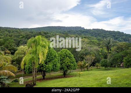 Le montagne piane di Tepui si distinguono sopra la fitta foresta tropicale. Tepequém, Stato di Roraima, Brasile. Foto Stock